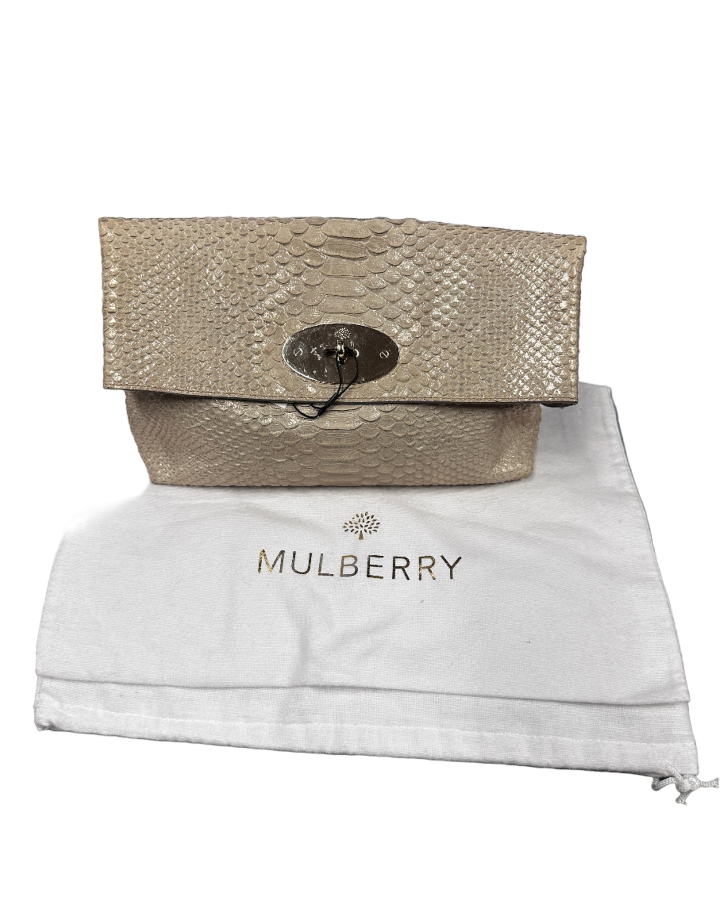 Mulberry Clemmie Oversized Clutch in Irredescent Metallic Silky Snake